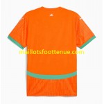 Maillot/Tenue Côte d Ivoire Domicile 2025